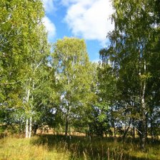 Схема вышивки «№350621»