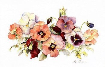 №350646 - оригинал