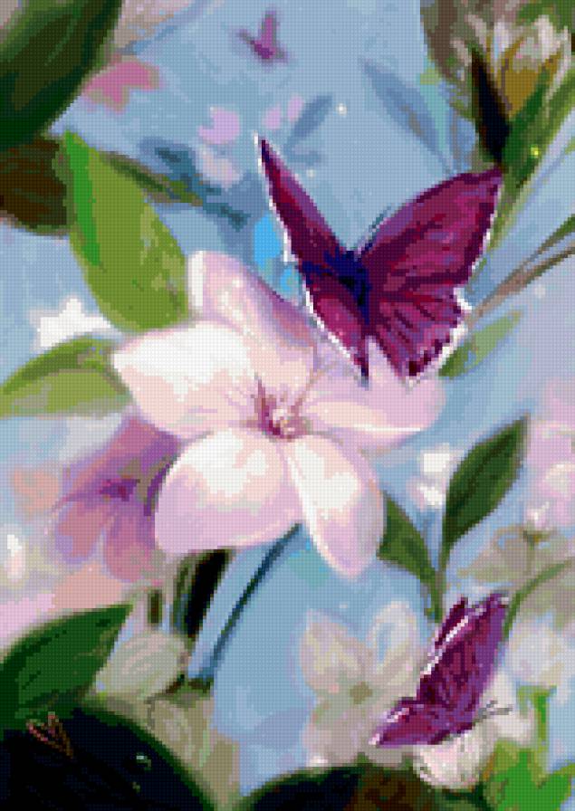 бабочки - предпросмотр