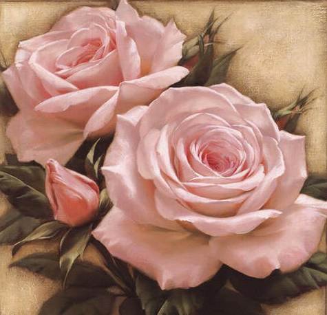 розы - оригинал