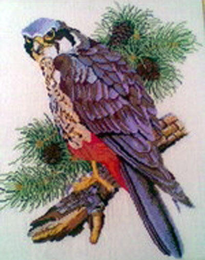 сокол - оригинал