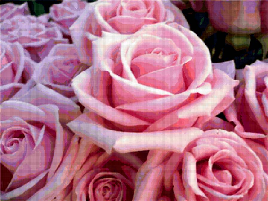 №350833 - предпросмотр