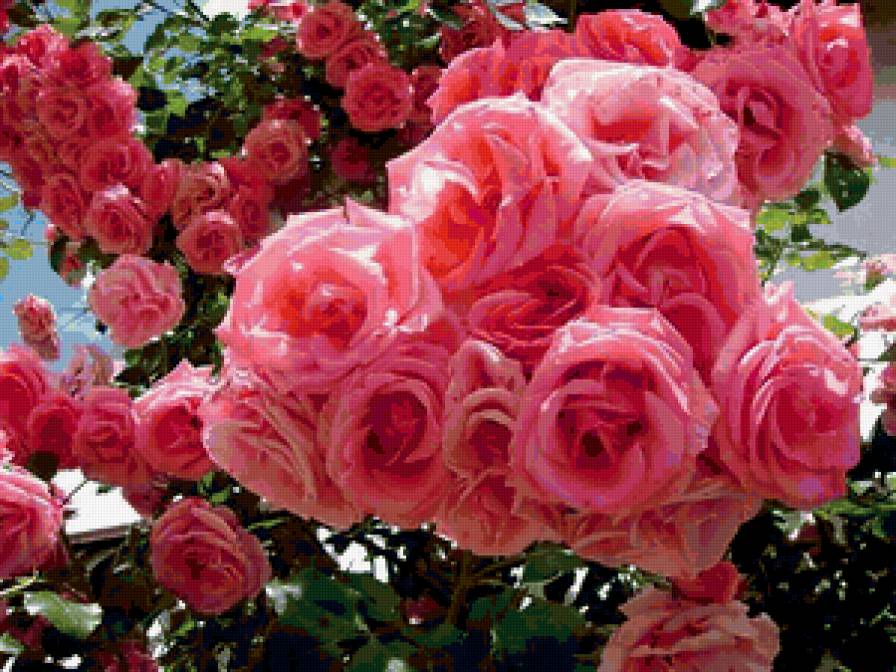 №350838 - предпросмотр