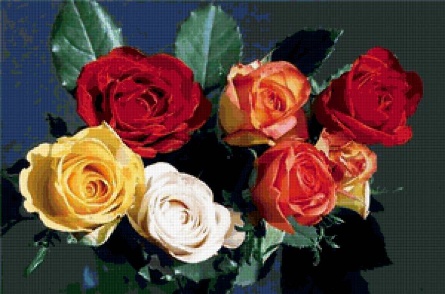 №350849 - предпросмотр