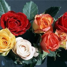 Схема вышивки «№350849»