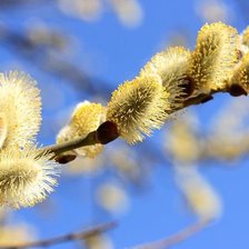 Схема вышивки «№350862»