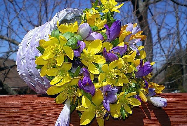 №350863 - оригинал