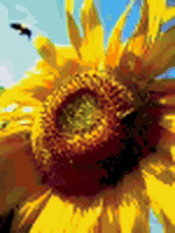 подсолнух - подсолнухи, вышивка, растения - предпросмотр