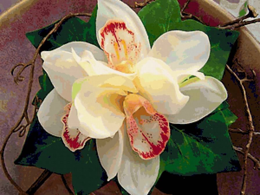 цветы - предпросмотр