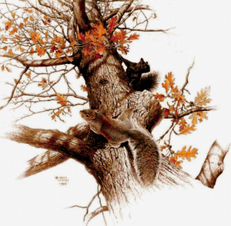 №351416 - предпросмотр