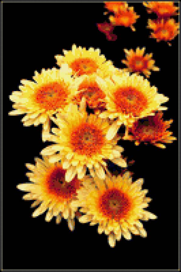 №351473 - цветы, на черном - предпросмотр