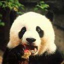 Оригинал схемы вышивки «панда» (№351507)