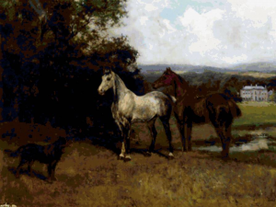 Лошади - лошадь, собака, луг - предпросмотр