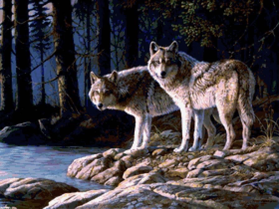 Пара - волки, лес - предпросмотр