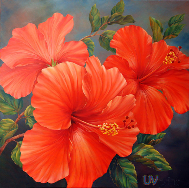 китайская роза - цветы - оригинал