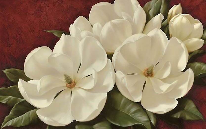 магнолия - оригинал