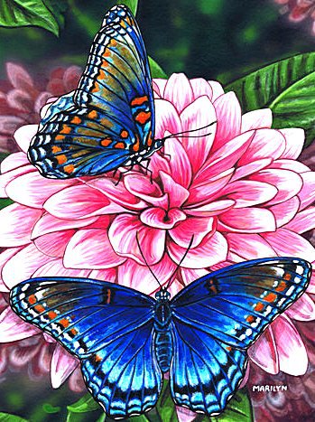 Бабочки - цветок, бабочки - оригинал
