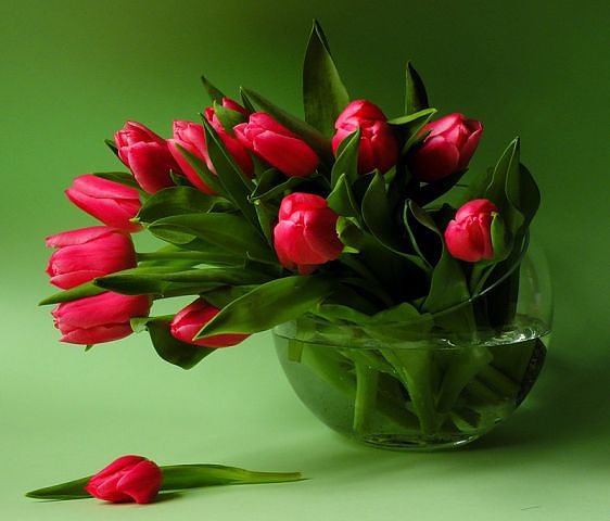 №351988 - оригинал