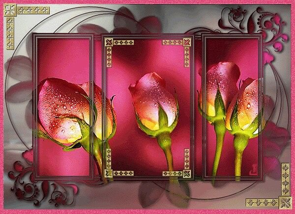 №351990 - оригинал