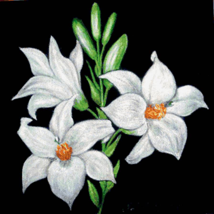 №352196 - предпросмотр