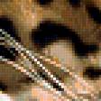 Предпросмотр схемы вышивки «Спящий ягуар» (№352238)