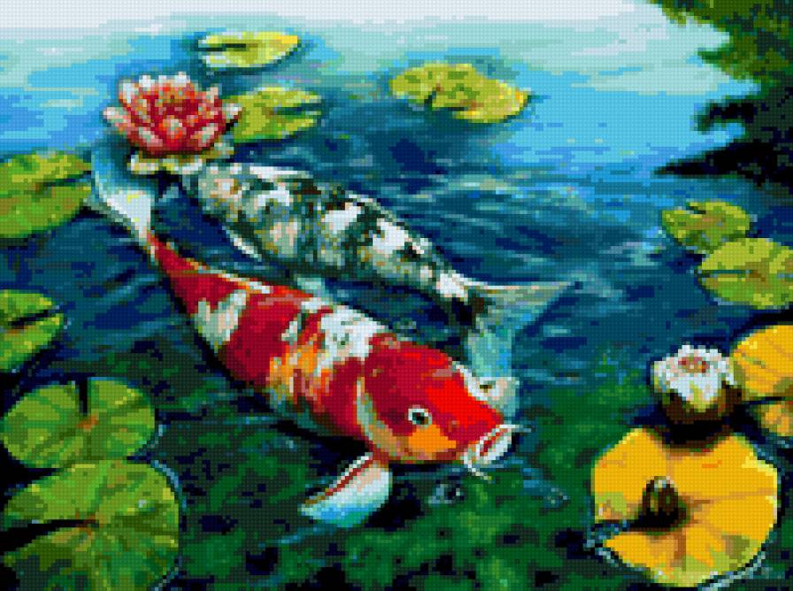 карпы кои - феншуй, символ богатства, карпы - предпросмотр