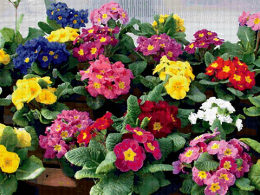 №352378 - предпросмотр