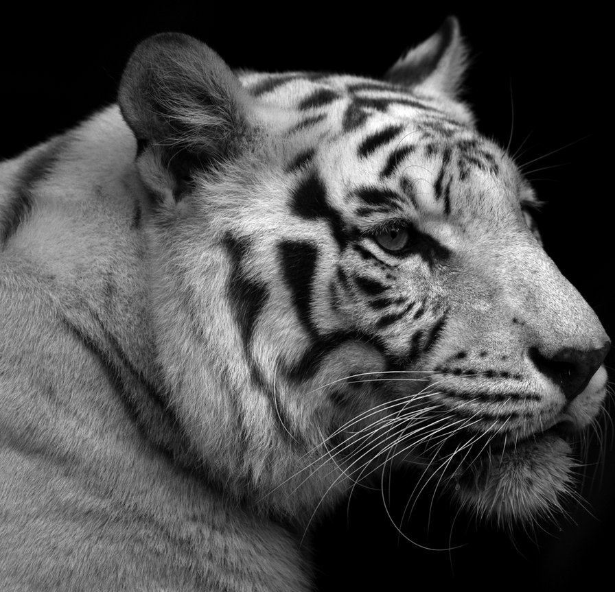 №352580 - оригинал