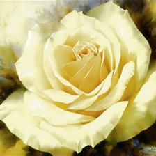 Схема вышивки «цветы»