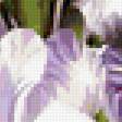 Предпросмотр схемы вышивки «цветы» (№352631)