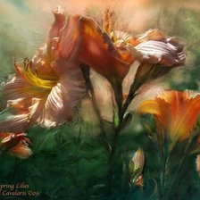 Схема вышивки «цветы»