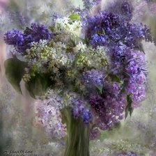 Схема вышивки «цветы»