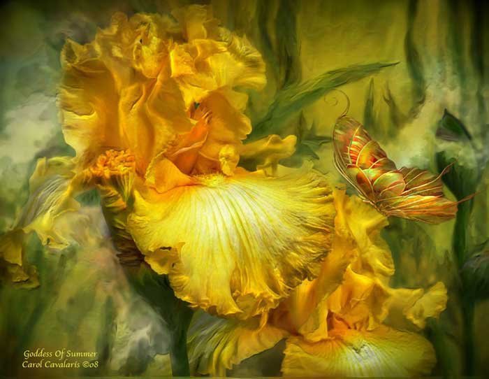 цветы - оригинал