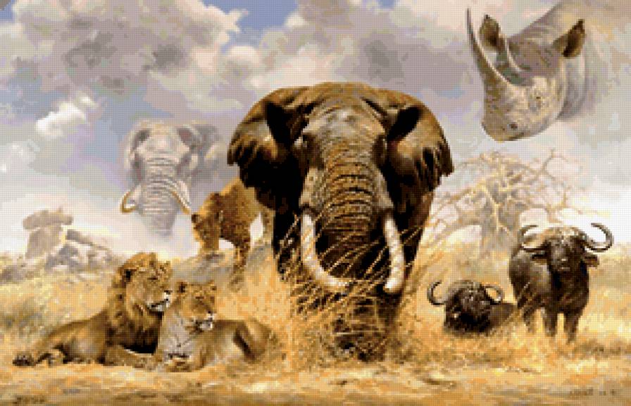 Африка - предпросмотр