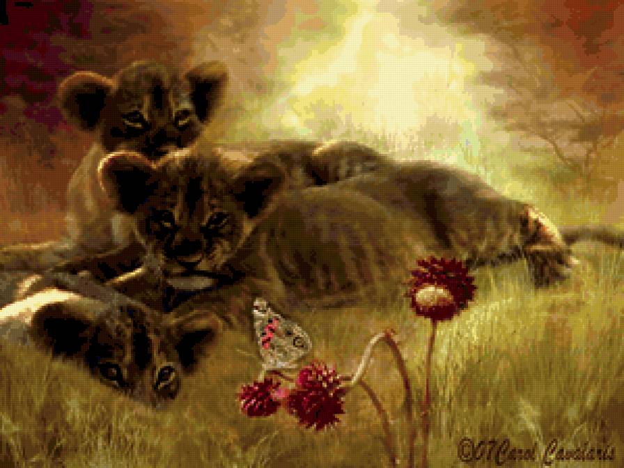 Африка - предпросмотр