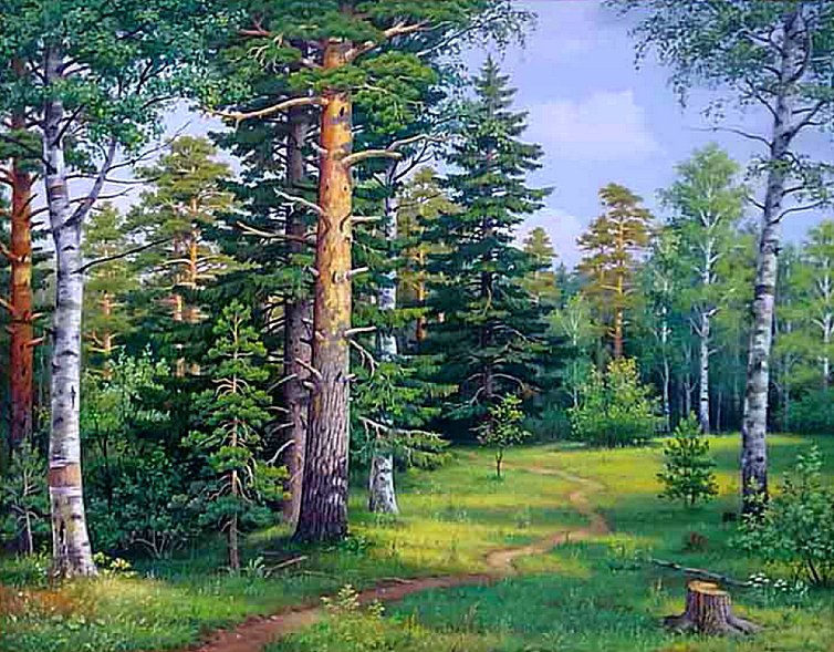Пейзажи России - природа, россия, сосны, пейзаж, елочки, картина - оригинал