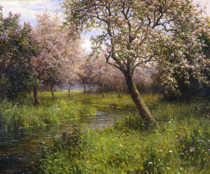 Цвет яблонь. - река, пейзаж, яблони, сад, цветение яблонь, природа, весна - оригинал