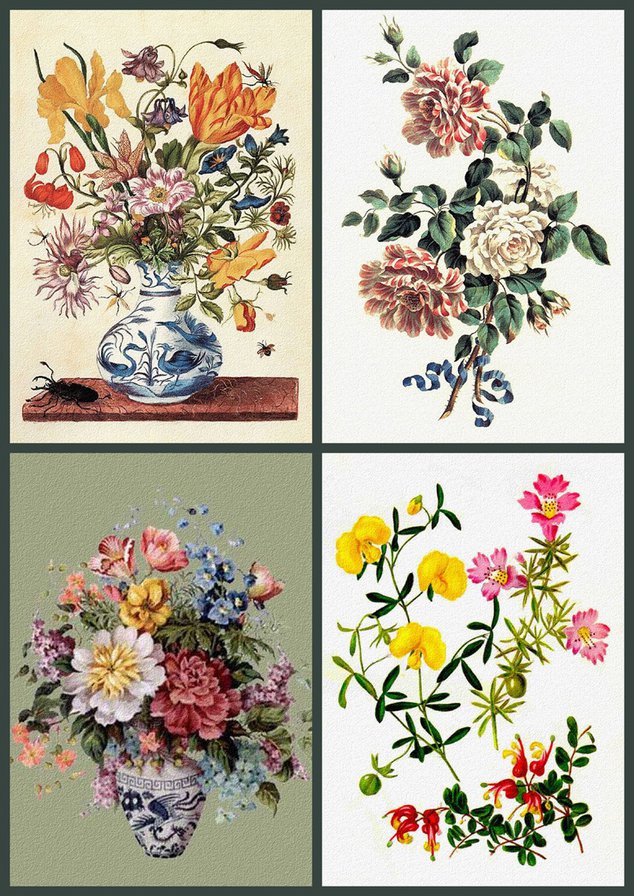 Цветы2 - цветы2 - оригинал