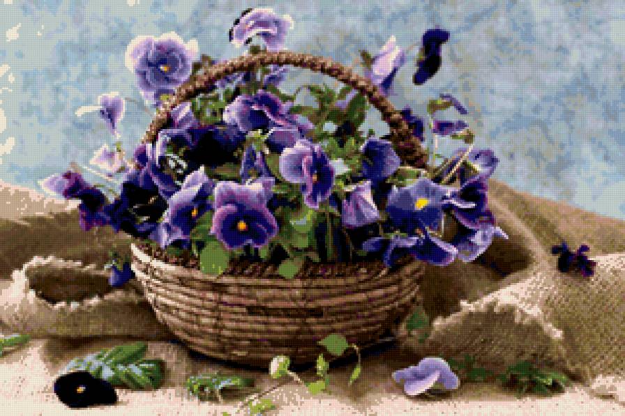 фиалки - фиалки, цветы - предпросмотр