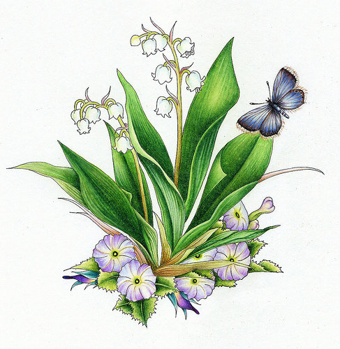 №353006 - бабочка, цветы, скатерть, ландыши, салфетка, подушка, насекомые - оригинал