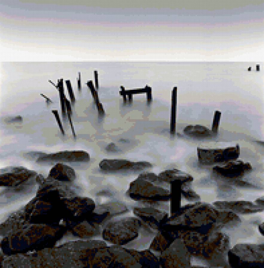 чёрно-белый куяльник - черно-бело, природа - предпросмотр