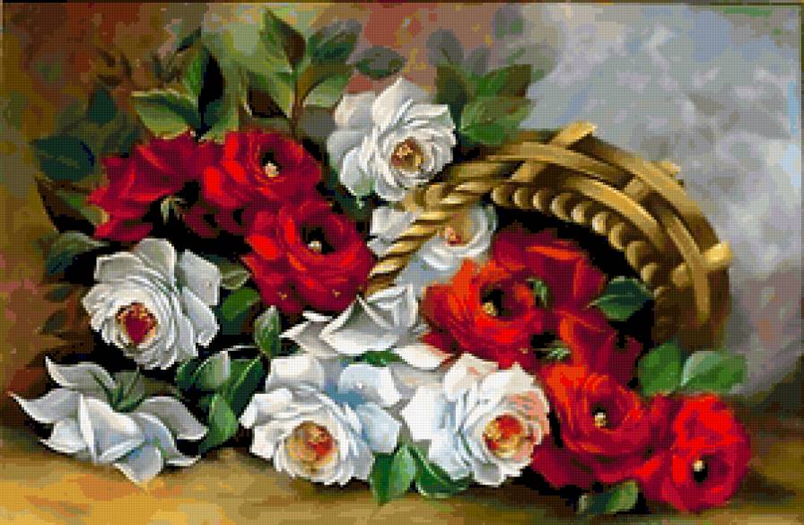 розы красные и белые - предпросмотр