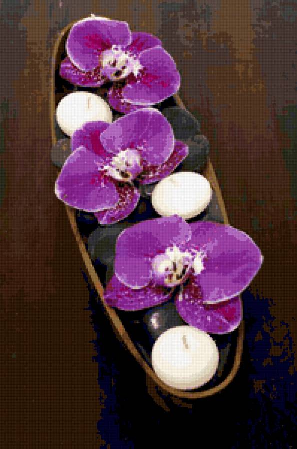 цвет - цветы - предпросмотр