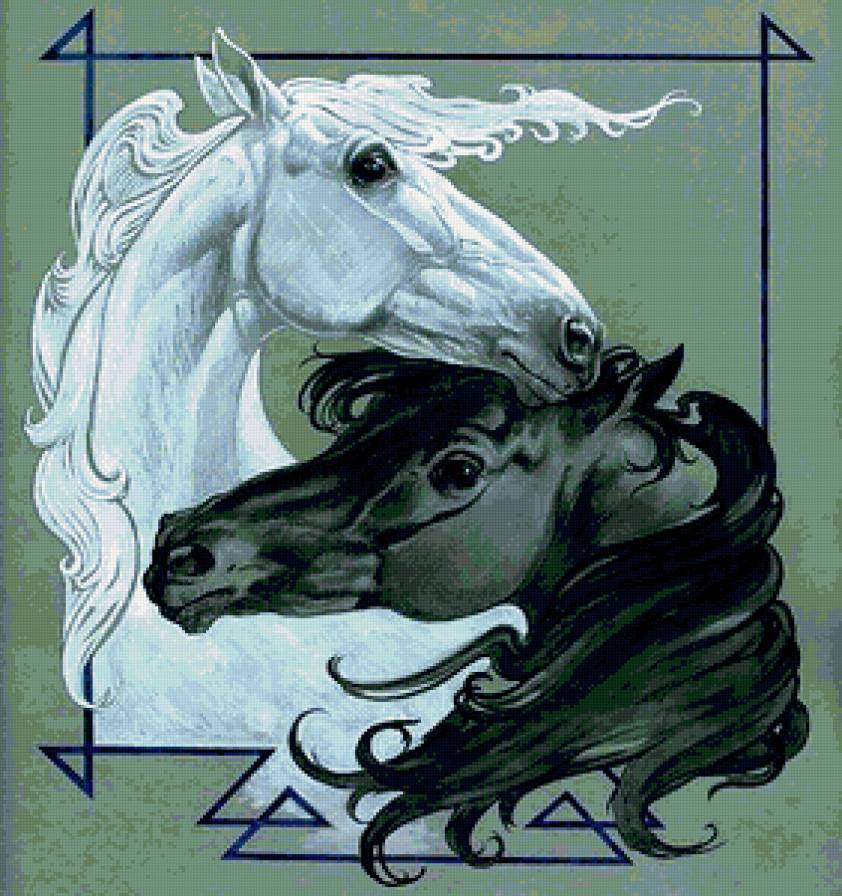 Инь-Ян - лошади, анималисты, животные, инь-ян - предпросмотр