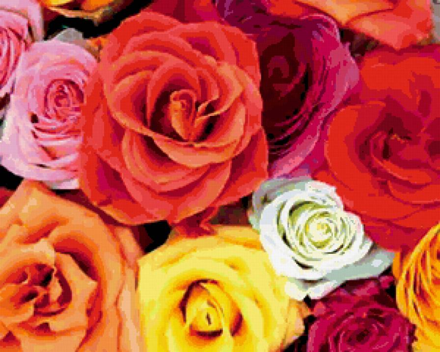 ЦВЕТЫ1 - предпросмотр