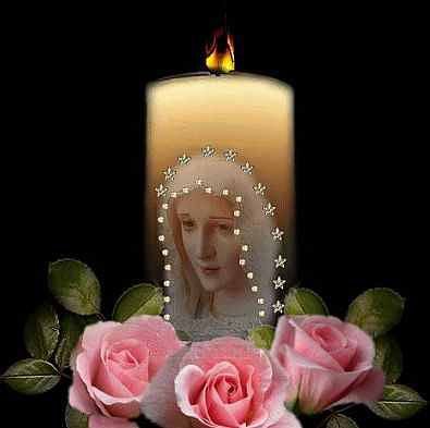 №353701 - оригинал