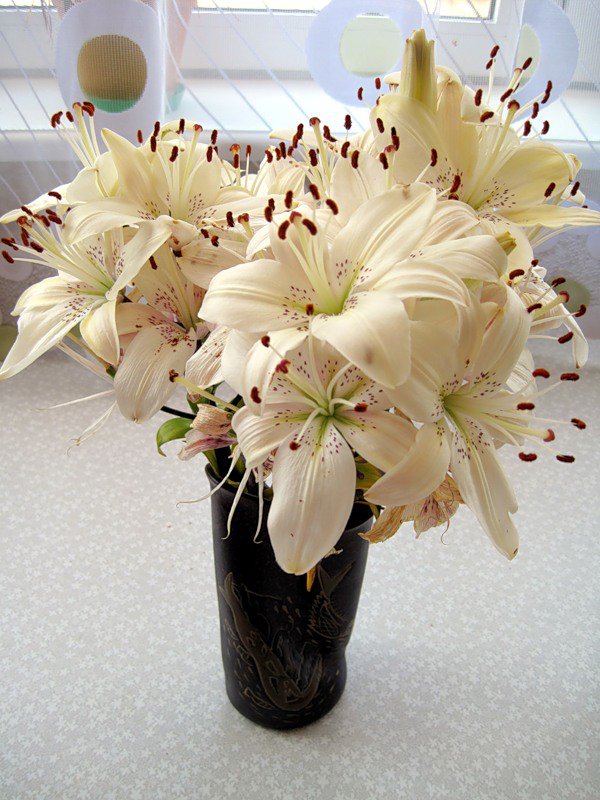 №353723 - натюрморт, букет, цветы - оригинал