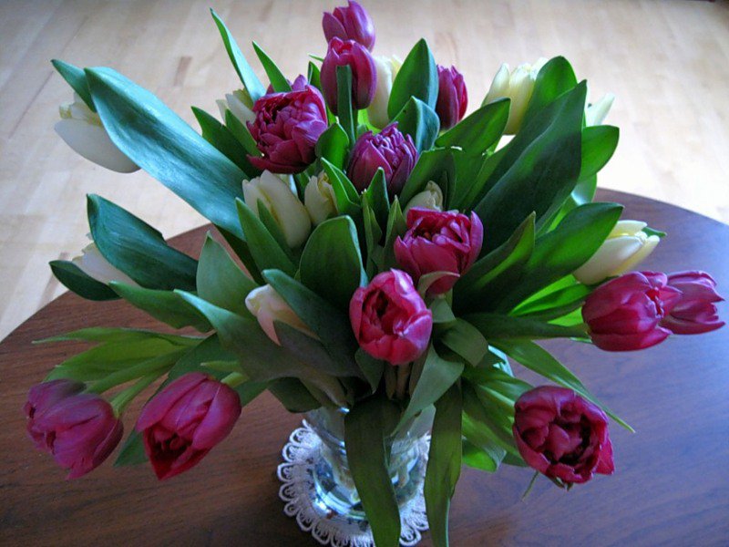 №353725 - букет, натюрморт, цветы - оригинал