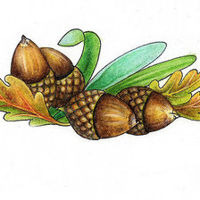 Схема вышивки «желуди»