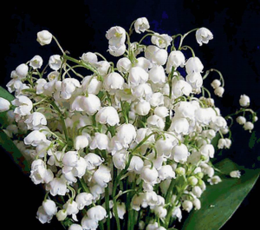 №353814 - предпросмотр